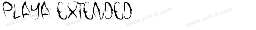 Playa Extended字体转换
